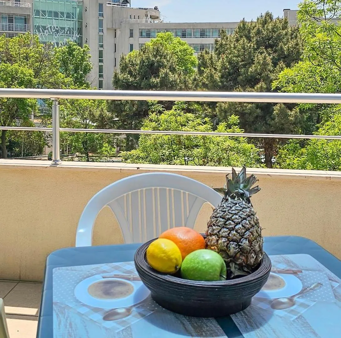 Excelsior Holiday Apartments Napospart